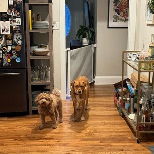 Meet your Posher, Nicole